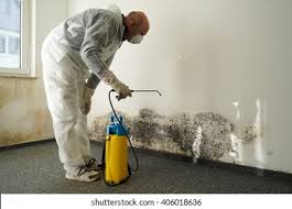 Why You Should Choose Our Mold Remediation Services in Williamsburg, IA